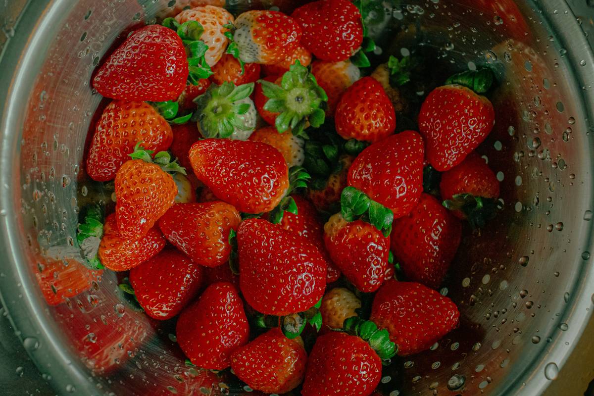 nutritional blend organic smoothy how to