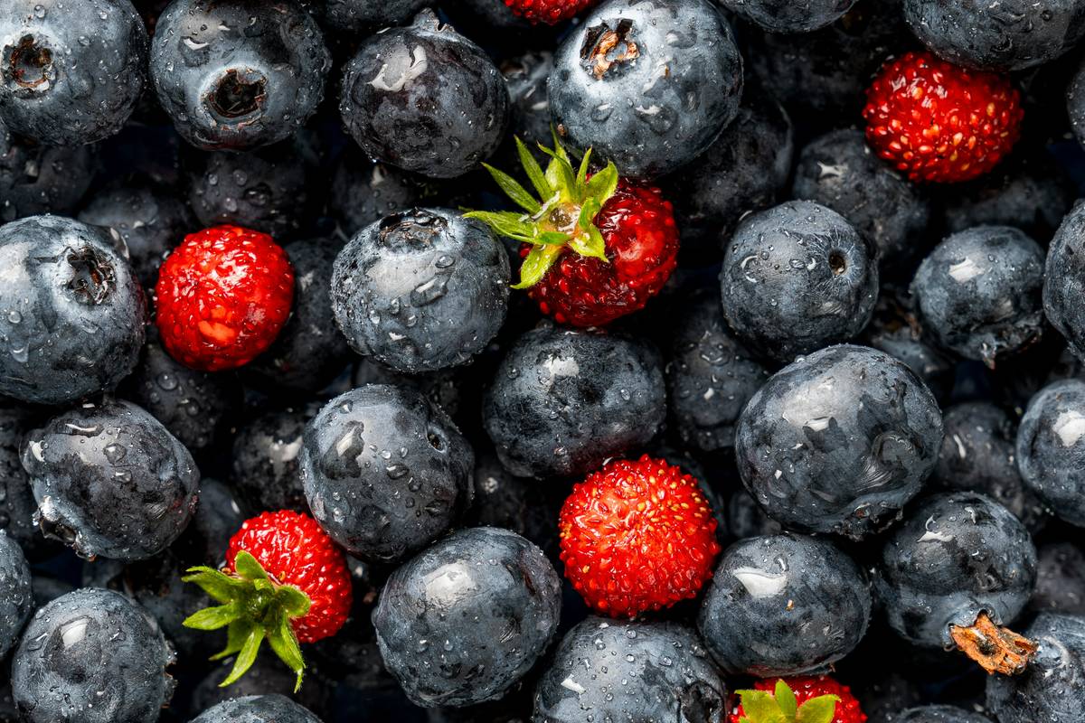 comparison of nutrient retention in ready to blend smoothies benefits vs traditional smoothies